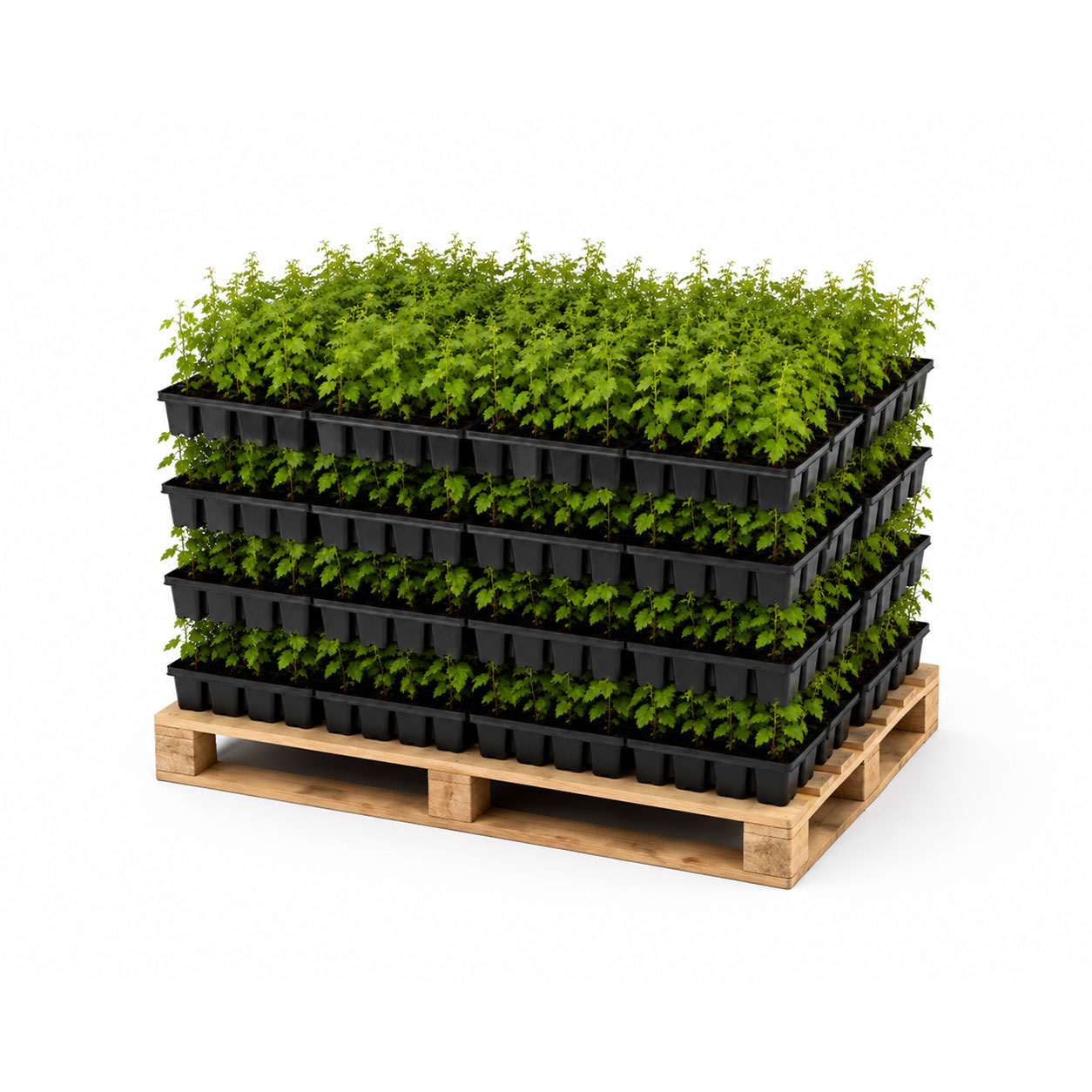 Secure Pallet Shipping Framework